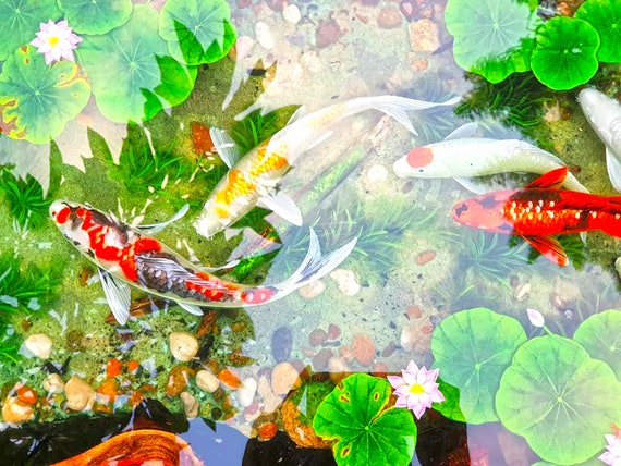 Koi fish 2024 resin table