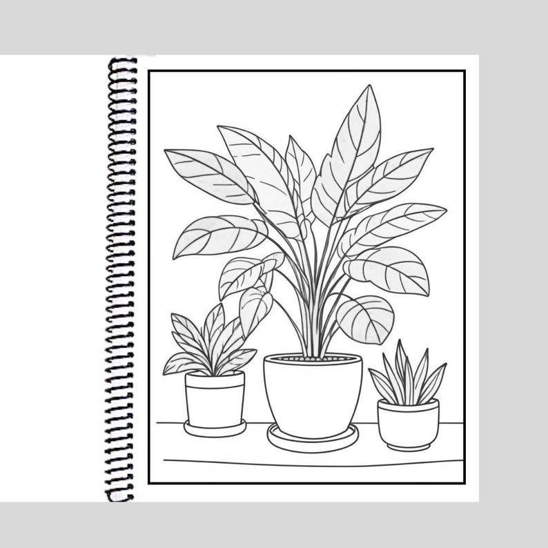 Houseplants - Spiral Bound Coloring Book for Adults – 50 Pages | Thick ...