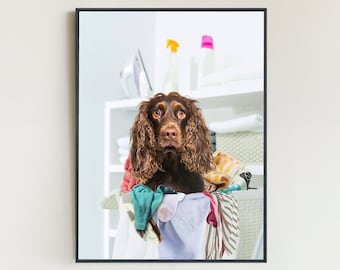 May include: A brown and white dog sits in a laundry basket filled with colorful clothes. The dog is looking at the camera with a curious expression. The laundry basket is in a white bathroom with a shelf in the background.