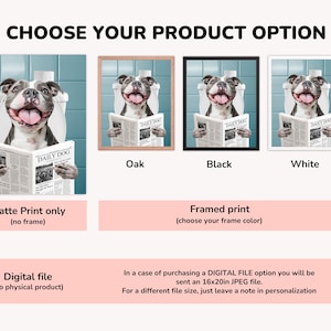 Może przedstawiać: Czarno-biały pies siedzący na toalecie czytający gazetę z napisem "Daily Dog". Obraz przedstawia r&oacute;żne opcje produktu dla wydruku: tylko matowy wydruk, wydruk w ramie w kolorze dębu, czarnym lub białym oraz plik cyfrowy.