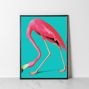May include: A pink flamingo with a long neck and long legs stands on a turquoise background. The flamingo is looking down at the ground.