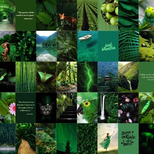 Emerald Green Aesthetic Wall Collage Kit of 100 pics, Nature Aesthetic Photo Bundle, Botanical Collage Kit, Outdoor Quotes, DIGITAL DOWNLOAD
