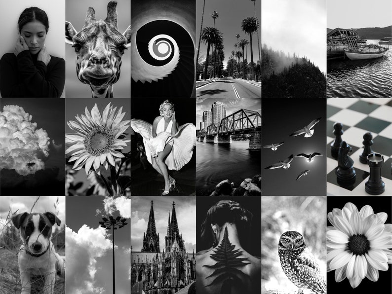 Black&white Photo Wall Collage Kit-digital Prints of 100 Pcs - Etsy