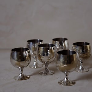 Pode incluir: Seis ta&ccedil;as de vinho prateadas com uma superf&iacute;cie refletora. As ta&ccedil;as t&ecirc;m uma haste curta e uma ta&ccedil;a arredondada. Algumas ta&ccedil;as t&ecirc;m um desenho floral gravado. As ta&ccedil;as est&atilde;o dispostas sobre uma superf&iacute;cie clara.