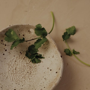 May include: A speckled, off-white ceramic grater bowl with a textured floral design in the center. Fresh green cilantro sprigs are arranged around the bowl. The bowl has a small hole on the side.