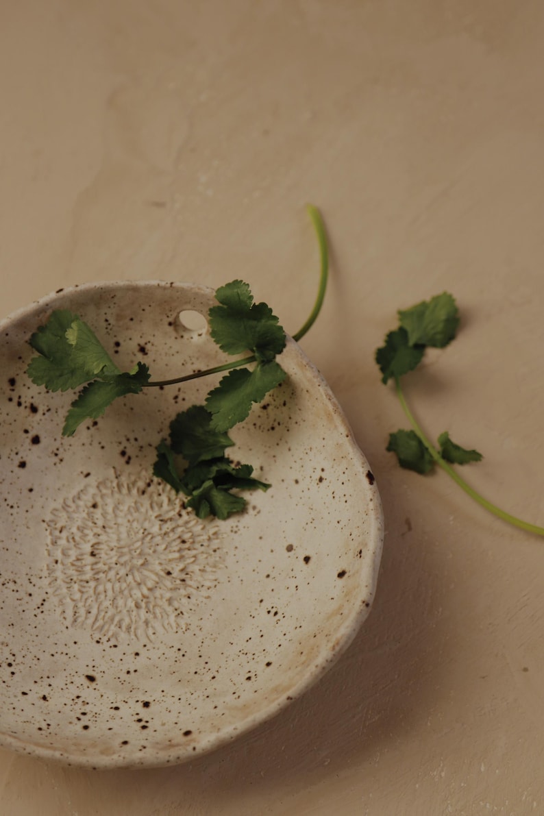 May include: A speckled, off-white ceramic grater bowl with a textured floral design in the center. Fresh green cilantro sprigs are arranged around the bowl. The bowl has a small hole on the side.