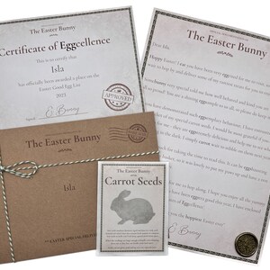 May include: A brown envelope with a green and white string tied around it. The envelope has a label that says "The Easter Bunny" and "Isla". There is a smaller card attached to the envelope that says "The Easter Bunny Carrot Seeds" and has a picture of a white rabbit.