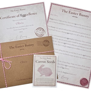 May include: A brown envelope with pink string tied around it. The envelope has a label that says "The Easter Bunny" and "Olivia". Inside the envelope is a certificate of eggcellence, a letter from the Easter Bunny, and a packet of carrot seeds.