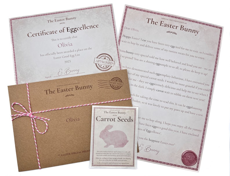 May include: A brown envelope with pink string tied around it. The envelope has a label that says "The Easter Bunny" and "Olivia". Inside the envelope is a certificate of eggcellence, a letter from the Easter Bunny, and a packet of carrot seeds.