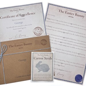 May include: A brown envelope with a blue ribbon tied around it. The envelope has a label that says "The Easter Bunny" and "George". There is a small card with a bunny silhouette and the text "The Easter Bunny Carrot Seeds".