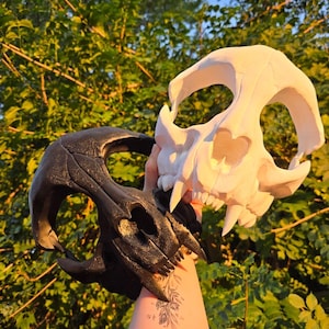 Op de afbeelding: Twee replica's van dierenschedels, één zwart en één wit, worden tegen een achtergrond van groen gebladerte gehouden. De schedels hebben gedetailleerde kenmerken, waaronder oogkassen, tanden en kaaklijnen, en zijn waarschijnlijk decoratieve items of rekwisieten.