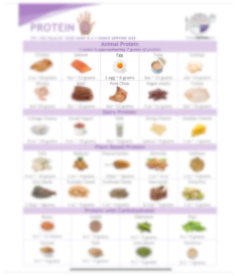 Protein Food List English and Spanish Bundle Etsy
