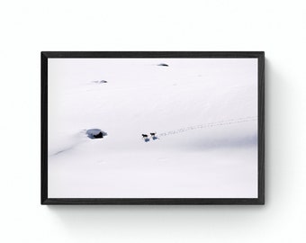 Wolf print | Wolf landscape photo | Lodge decor | Wolves of Yellowstone
