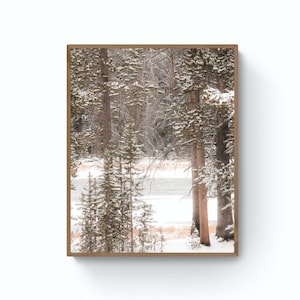 Forest wall decor| Snowy forest print | Lodgepole pine forest  | Log cabin decor