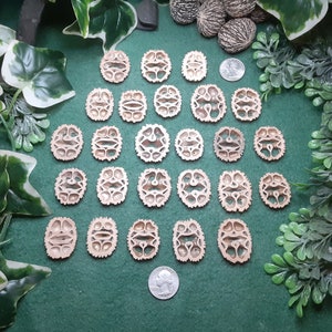 May include: Twenty-four natural walnut shell halves, each with a unique, intricate pattern, arranged in a circular pattern on a green surface.