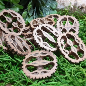 May include: A collection of brown, intricately carved walnut shells, arranged on a bed of green moss. The shells have a natural, rustic look and are perfect for crafting or decorating.