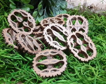 25 Center Cut Black Walnut Shell Slices/Buttons 1/8" Thick