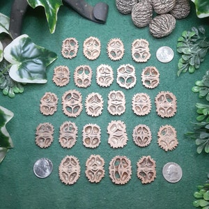 May include: A collection of brown walnut shell halves arranged on a green surface, alongside whole walnuts and US quarter coins. The shells are intricately shaped, showcasing the natural patterns of the nut. Green foliage and a horseshoe frame the arrangement.