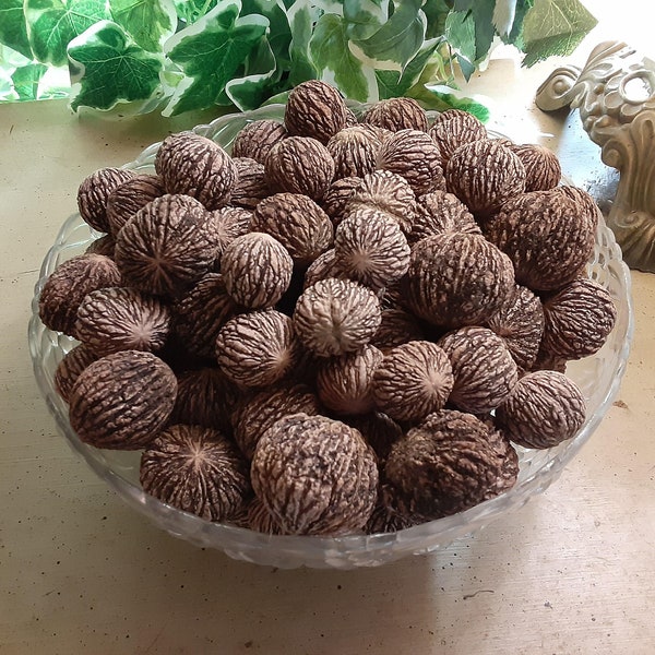 1 lb. Whole Black Walnuts In Shell - 100% Organic, Harvested Fresh from our Farm