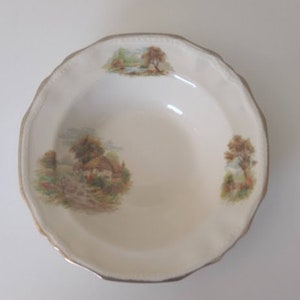 Alfred Meakin vintage china bowl