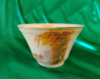 Vintage J & G Meakin sugar bowl with rustic illustrations