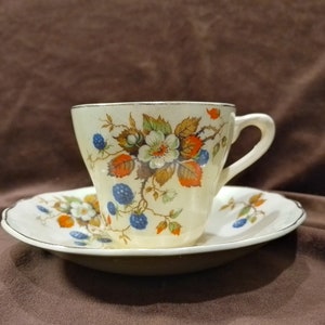 J & G Meakin Blueberry Blossom cup and saucer