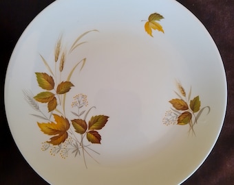 May include: A white ceramic dinner plate with a brown, yellow, and green floral design. The design features leaves, wheat stalks, and small white flowers.