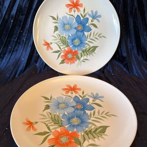 Pair of vintage floral Melamine dinner plates