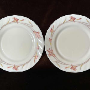 Puede incluir: Dos platos de cerámica blanca con borde festoneado. Cada plato presenta un diseño floral en rosa y amarillo, con un tallo gris claro. Los platos están colocados uno al lado del otro.