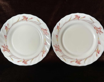 6 ASSIETTES FRUITS DE FRANCE dessert ARCOPAL 248102 EUR 10,00 - PicClick FR