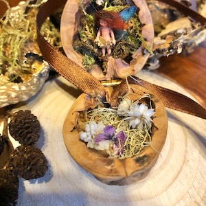 Micro Fee in Nussbaum Box Diorama