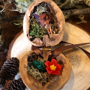 Micro Fee im Nussbaum Haus Diorama