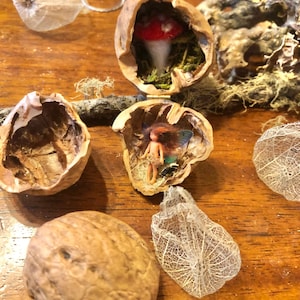 Micro Fairy walnut house ornament