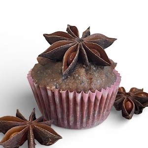 Shower Scrub Cinnamon Vanilla Poppy Seeds Exfoliating Bar/Handcrafted/Natural/Gift