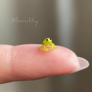 以下が含まれることがあります： 指の上に小さな緑色のカエルが座っています。カエルは非常に小さく、爪の大きさです。黒い目があります。