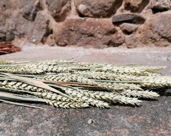 Botte de blé séché naturel, fleurs séchées