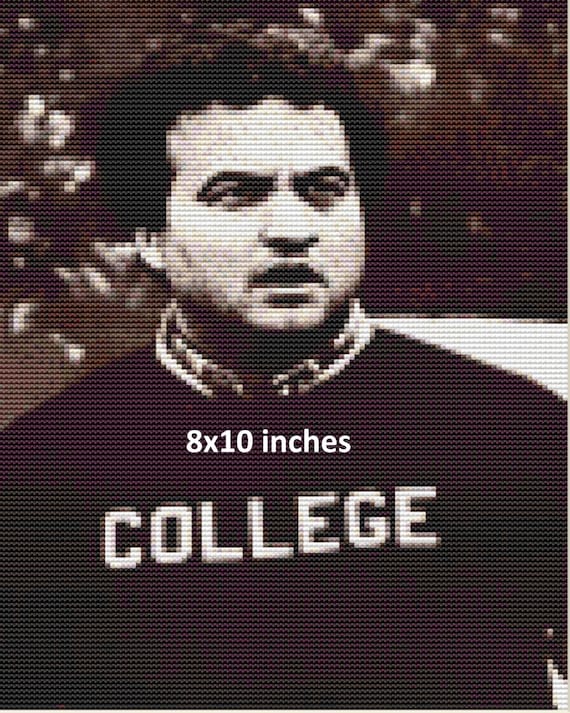 8x10 John Belushi College Cross Stitch Pattern Etsy