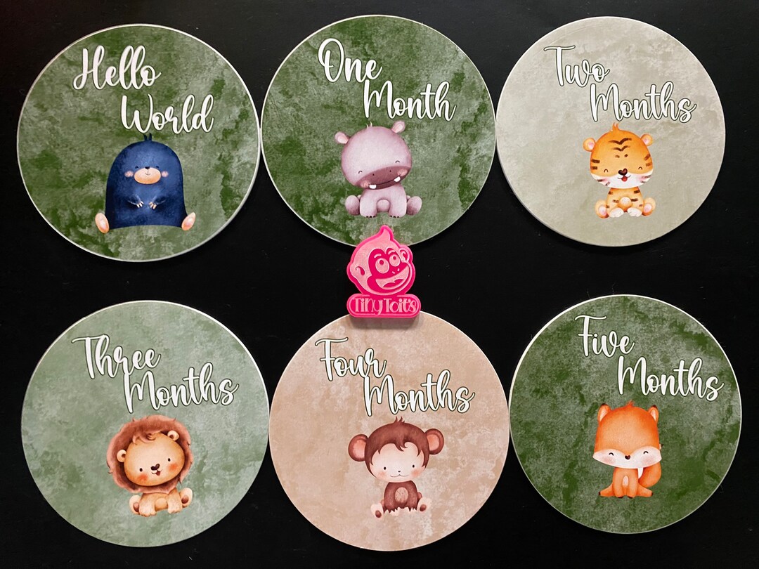 Animal Nursery Theme Baby Milestone Discs 1-12 Months Photo Props ...