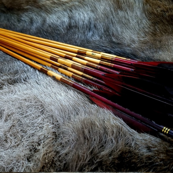 Traditional Arrows. 12 Piece. (OkcuBekir design parallel shafts )