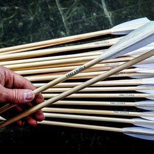 Traditional Arrows. 12 Piece. (Standart Target Arrows Parallel Shafts )