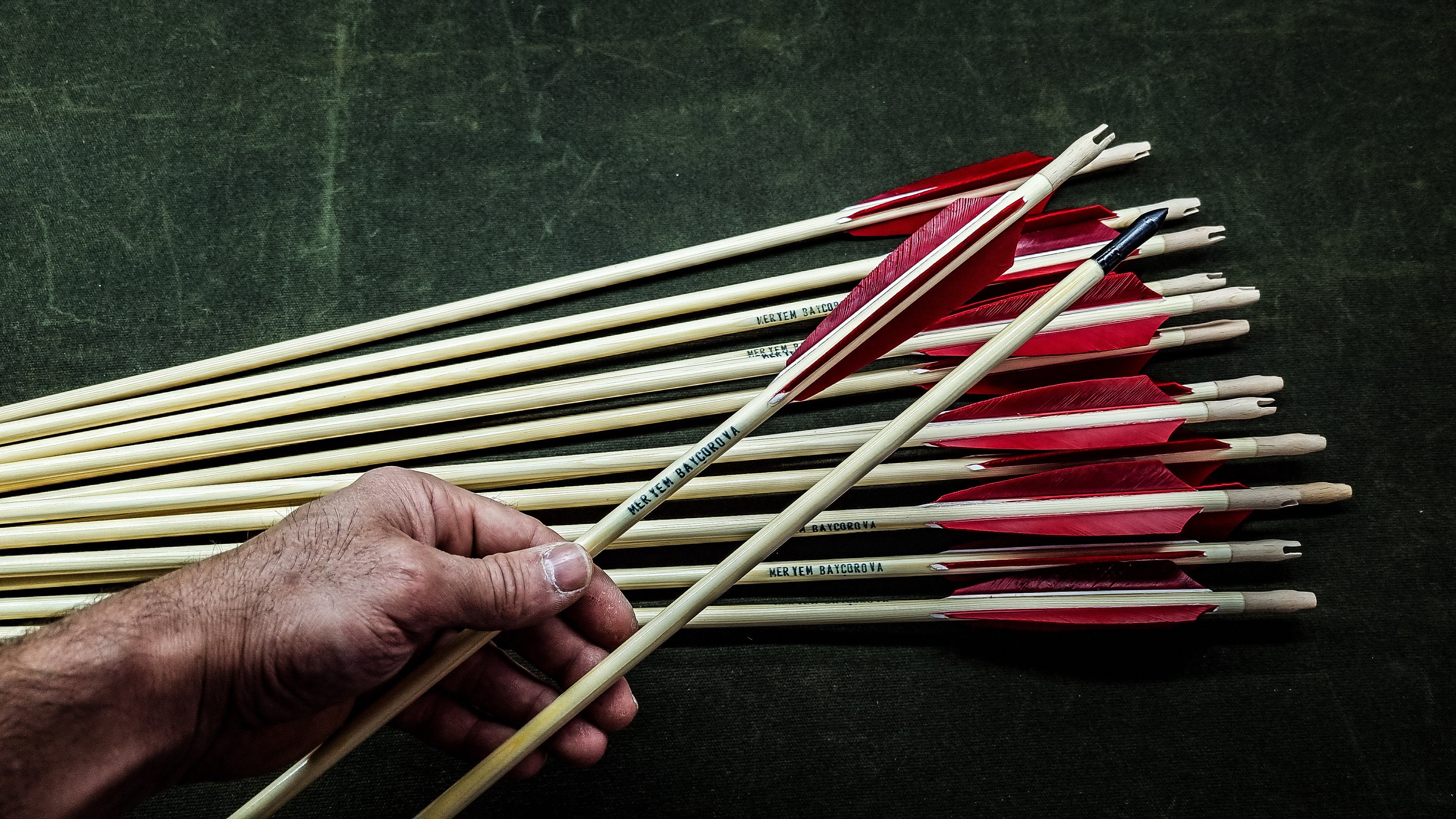Traditional Arrows. 12 Piece. (standart Target Arrows Parallel Shafts ...