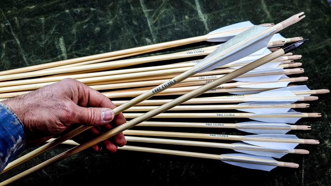 Traditional Arrows. 12 Piece. (standart Target Arrows Parallel Shafts ...