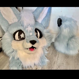 Custom Fursuit Head Commisions ! (READ DECRIPTION)