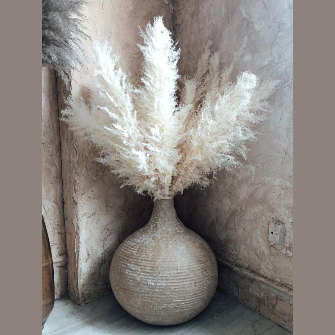 6 PCS White Large Natural Dried Pampas Grass Large 45/115cm Tall Pampas ...