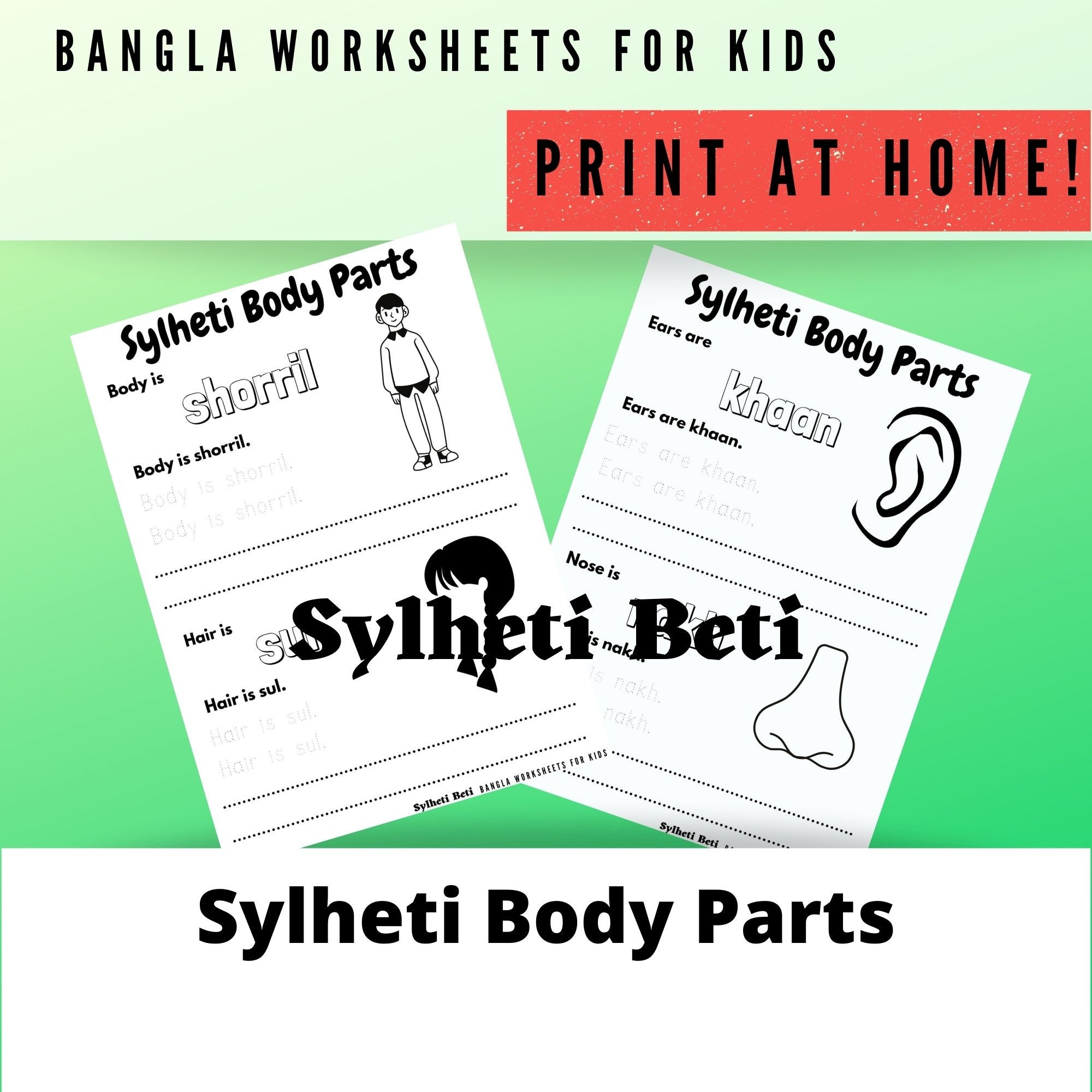 learn sylheti worksheets for kids body parts sylheti etsy australia