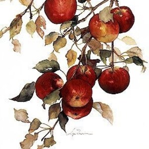 Northern Spy II