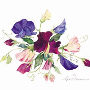 Mini Sweet Pea