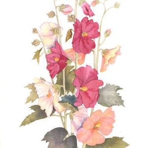 Monhegan: Watercolor Print by Lyn Snow