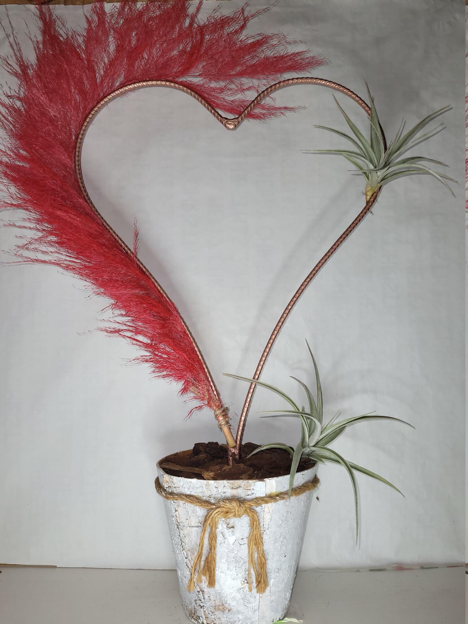 Décoration Composition Idée Cadeau Cœur et Pampa Rouge avec Tillandsia