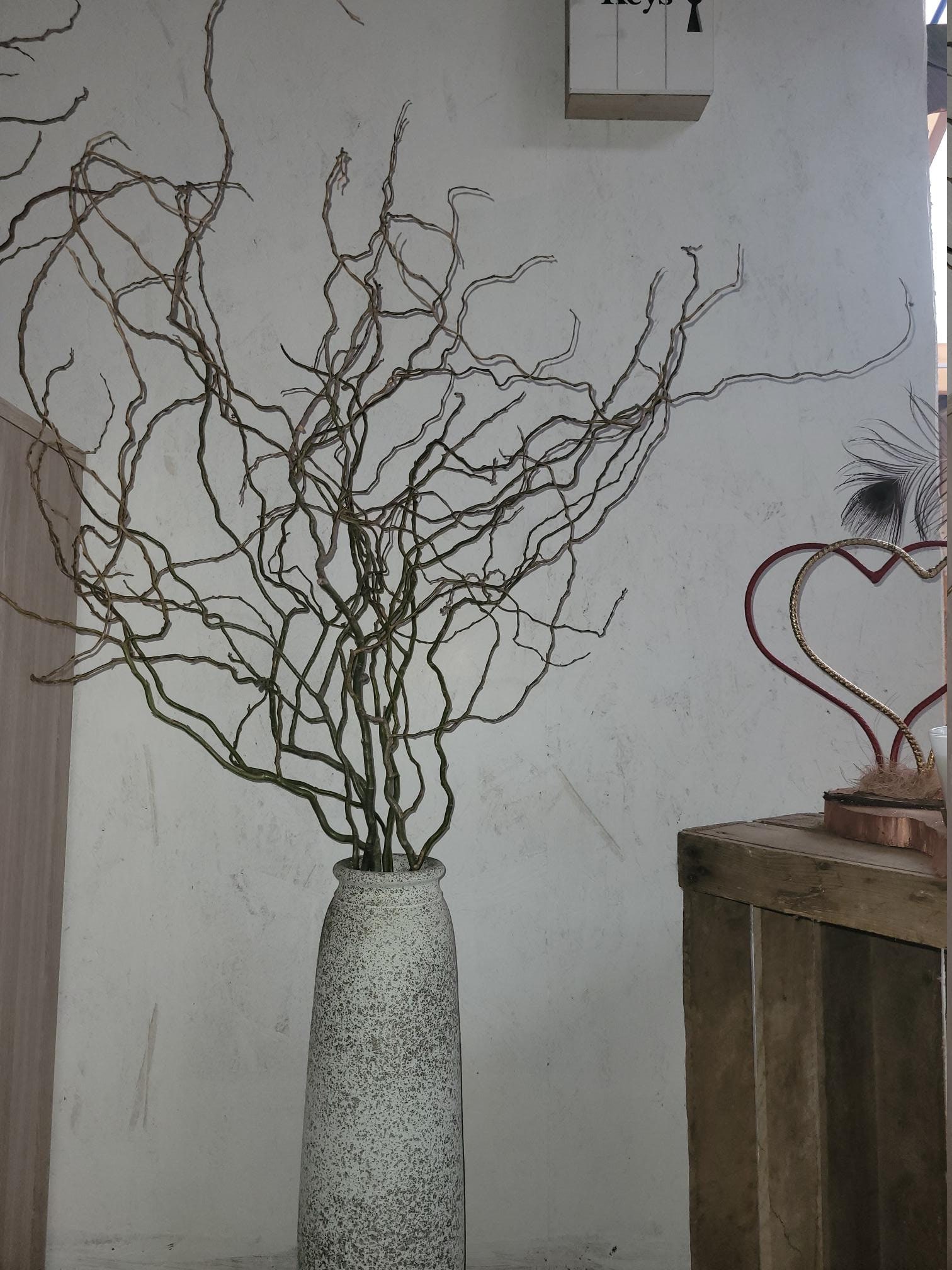 Saule Bouclé, Saule Tortueux, Frisé, Bouquet 100 cm 5/6 Branches Naturel